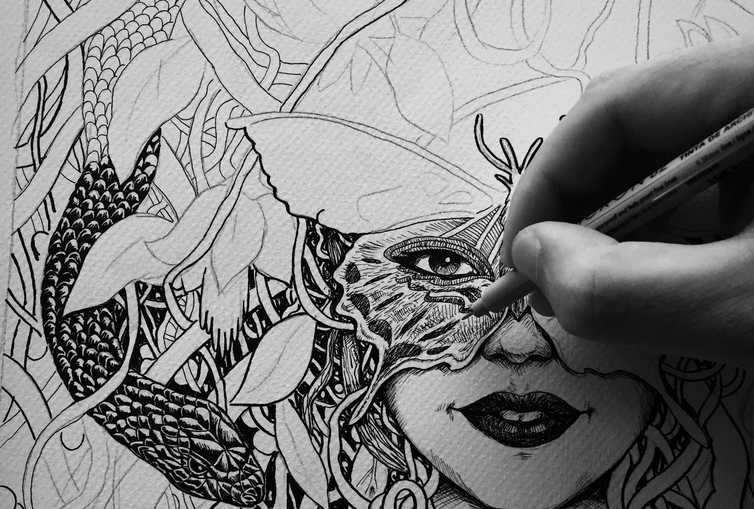 Budweiser - Your Tour