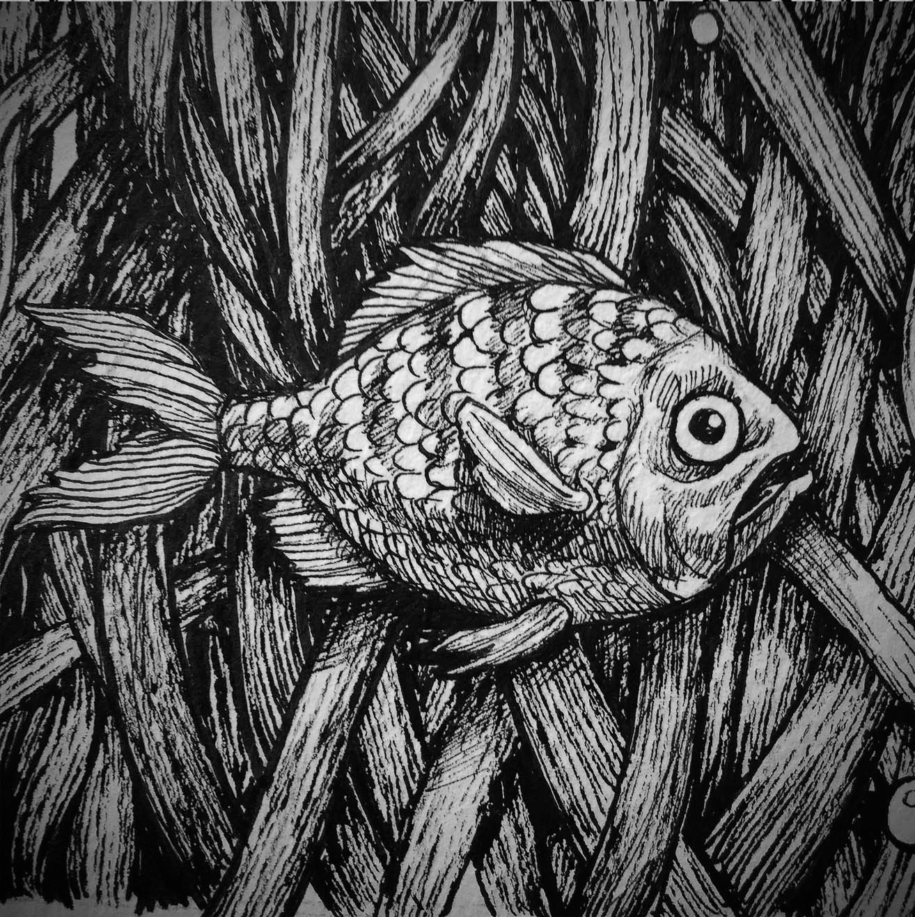 Budweiser - Your Tour